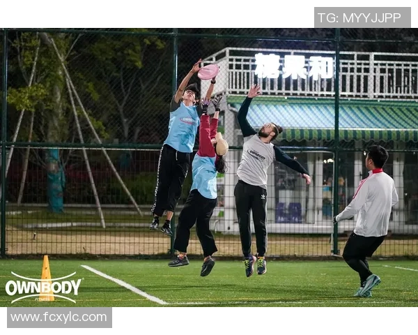 飞盘焦点：深入分析杭州飞盘队的团队协作与战术配合